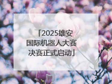 2025雄安国际机器人大赛决赛正式启动